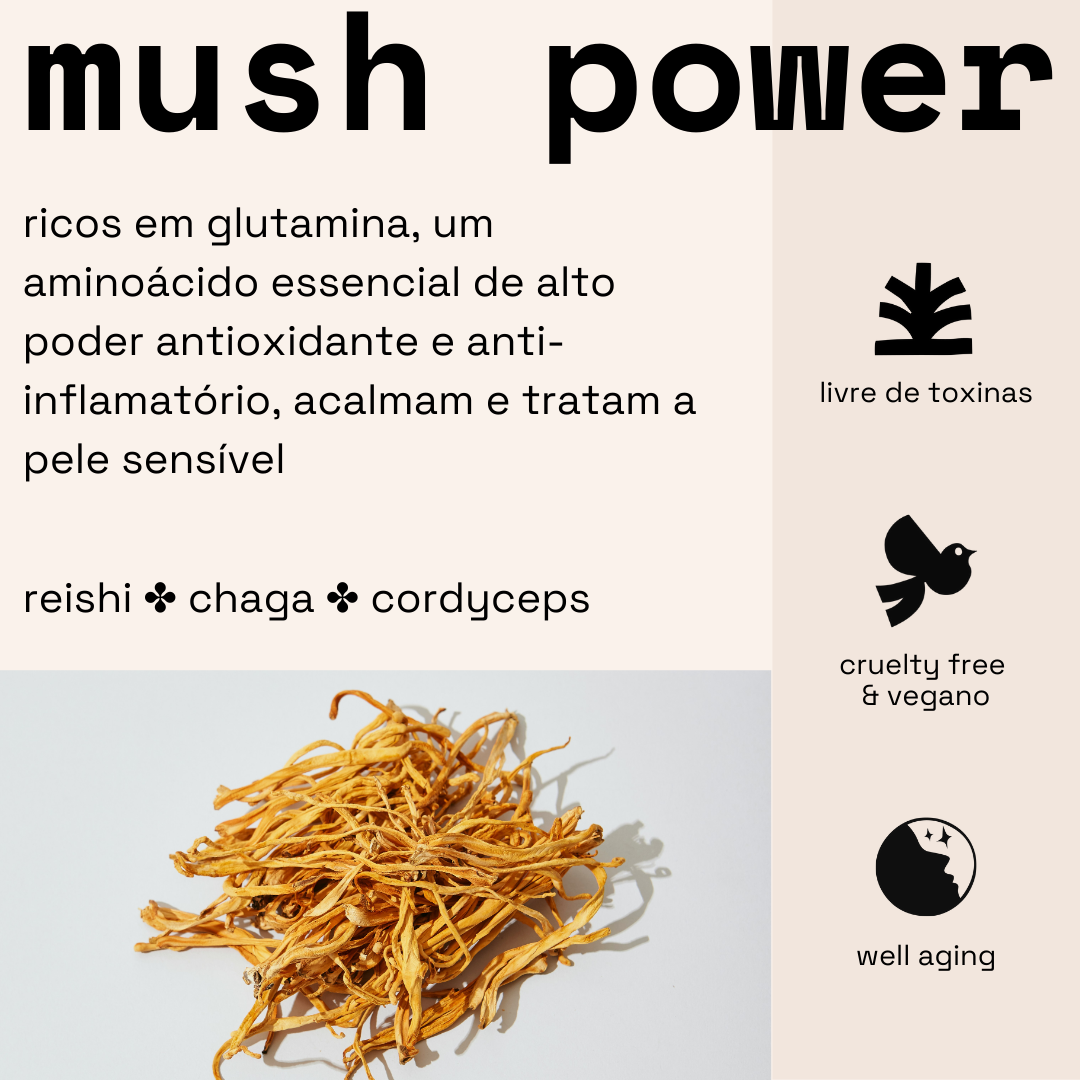 SERUM FACIAL TRI-MUSHROOM - KOTE skincare