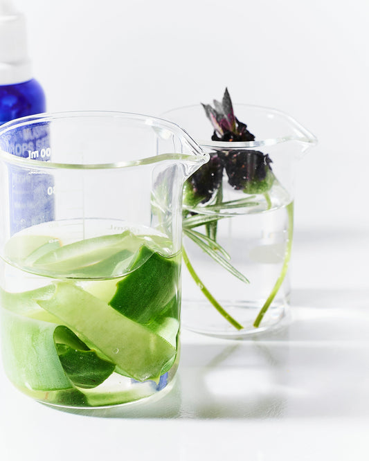 Fitoestrógenos no skincare: como eles ajudam a pele madura durante a menopausa