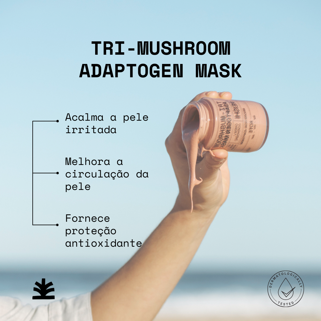 MÁSCARA FACIAL ADAPTÓGENA